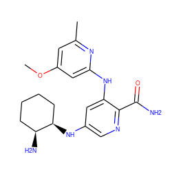 COc1cc(C)nc(Nc2cc(N[C@@H]3CCCC[C@@H]3N)cnc2C(N)=O)c1 ZINC000205283803