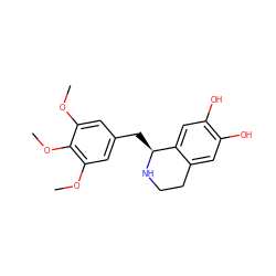 COc1cc(C[C@@H]2NCCc3cc(O)c(O)cc32)cc(OC)c1OC ZINC000000000802