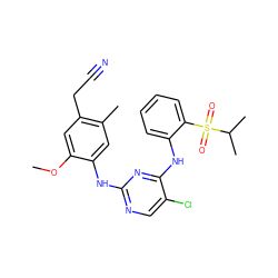 COc1cc(CC#N)c(C)cc1Nc1ncc(Cl)c(Nc2ccccc2S(=O)(=O)C(C)C)n1 ZINC001772619787