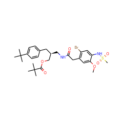 COc1cc(CC(=O)NC[C@@H](COC(=O)C(C)(C)C)Cc2ccc(C(C)(C)C)cc2)c(Br)cc1NS(C)(=O)=O ZINC000064448551