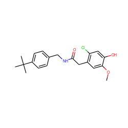 COc1cc(CC(=O)NCc2ccc(C(C)(C)C)cc2)c(Cl)cc1O ZINC000064436484