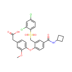 COc1cc(CC(=O)O)ccc1Oc1ccc(C(=O)NC2CCC2)cc1CS(=O)(=O)c1ccc(Cl)cc1Cl ZINC000082157752