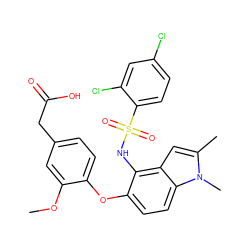 COc1cc(CC(=O)O)ccc1Oc1ccc2c(cc(C)n2C)c1NS(=O)(=O)c1ccc(Cl)cc1Cl ZINC000117752697