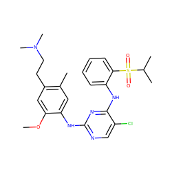 COc1cc(CCN(C)C)c(C)cc1Nc1ncc(Cl)c(Nc2ccccc2S(=O)(=O)C(C)C)n1 ZINC001772617377