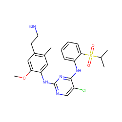 COc1cc(CCN)c(C)cc1Nc1ncc(Cl)c(Nc2ccccc2S(=O)(=O)C(C)C)n1 ZINC001772611980