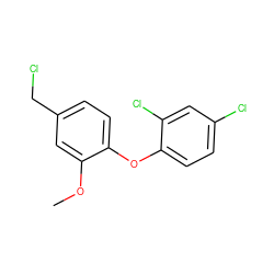 COc1cc(CCl)ccc1Oc1ccc(Cl)cc1Cl ZINC000028869363