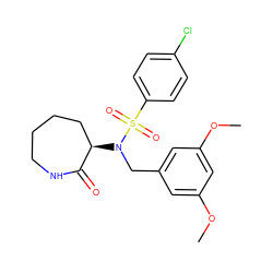 COc1cc(CN([C@@H]2CCCCNC2=O)S(=O)(=O)c2ccc(Cl)cc2)cc(OC)c1 ZINC000028957734