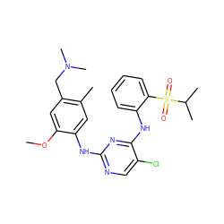 COc1cc(CN(C)C)c(C)cc1Nc1ncc(Cl)c(Nc2ccccc2S(=O)(=O)C(C)C)n1 ZINC001772620766