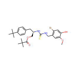 COc1cc(CNC(=S)N[C@@H](COC(=O)C(C)(C)C)Cc2ccc(C(C)(C)C)cc2)c(Br)cc1O ZINC000028881854