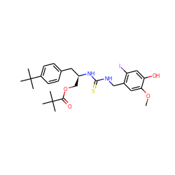 COc1cc(CNC(=S)N[C@@H](COC(=O)C(C)(C)C)Cc2ccc(C(C)(C)C)cc2)c(I)cc1O ZINC000028881864