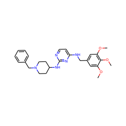 COc1cc(CNc2ccnc(NC3CCN(Cc4ccccc4)CC3)n2)cc(OC)c1OC ZINC000084758034