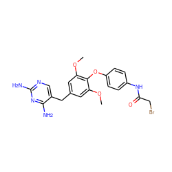 COc1cc(Cc2cnc(N)nc2N)cc(OC)c1Oc1ccc(NC(=O)CBr)cc1 ZINC000002020262