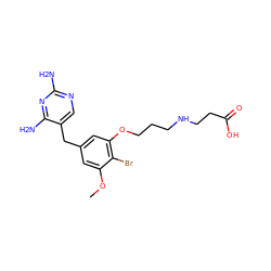 COc1cc(Cc2cnc(N)nc2N)cc(OCCCNCCC(=O)O)c1Br ZINC000029400939