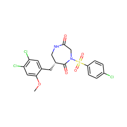 COc1cc(Cl)c(Cl)cc1C[C@@H]1CNC(=O)CN(S(=O)(=O)c2ccc(Cl)cc2)C1=O ZINC000028894399