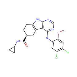 COc1cc(Cl)c(Cl)cc1Nc1ncnc2[nH]c3c(c12)C[C@@H](C(=O)NC1CC1)CC3 ZINC000218341024