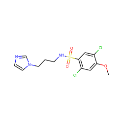 COc1cc(Cl)c(S(=O)(=O)NCCCn2ccnc2)cc1Cl ZINC000004937432