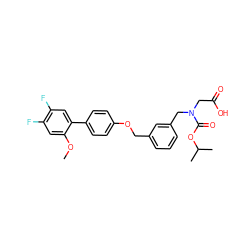 COc1cc(F)c(F)cc1-c1ccc(OCc2cccc(CN(CC(=O)O)C(=O)OC(C)C)c2)cc1 ZINC000117792224