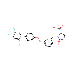 COc1cc(F)c(F)cc1-c1ccc(OCc2cccc(CN3C(=O)CC[C@H]3C(=O)O)c2)cc1 ZINC000072315348