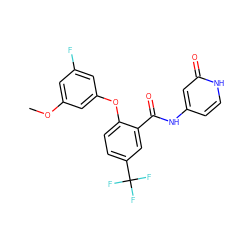 COc1cc(F)cc(Oc2ccc(C(F)(F)F)cc2C(=O)Nc2cc[nH]c(=O)c2)c1 ZINC000143198248