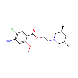 COc1cc(N)c(Cl)cc1C(=O)OCCN1C[C@@H](C)C[C@H](C)C1 ZINC000000021019