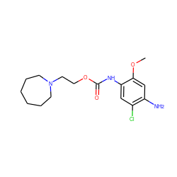 COc1cc(N)c(Cl)cc1NC(=O)OCCN1CCCCCC1 ZINC000013762233