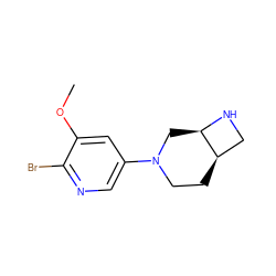 COc1cc(N2CC[C@@H]3CN[C@@H]3C2)cnc1Br ZINC000035080302