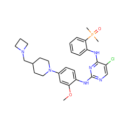 COc1cc(N2CCC(CN3CCC3)CC2)ccc1Nc1ncc(Cl)c(Nc2ccccc2P(C)(C)=O)n1 ZINC000148754411