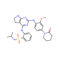 COc1cc(N2CCCCC2=O)ccc1Nc1nc2c(c(Nc3ccccc3S(=O)(=O)NC(C)C)n1)CCN2 ZINC000221682714