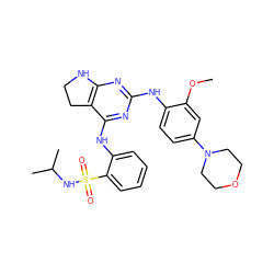 COc1cc(N2CCOCC2)ccc1Nc1nc2c(c(Nc3ccccc3S(=O)(=O)NC(C)C)n1)CCN2 ZINC000200865900