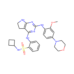 COc1cc(N2CCOCC2)ccc1Nc1nc2c(c(Nc3ccccc3S(=O)(=O)NC3CCC3)n1)CCN2 ZINC000199038358