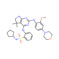 COc1cc(N2CCOCC2)ccc1Nc1nc2c(c(Nc3ccccc3S(=O)(=O)NC3CCCC3)n1)C(C)(C)CN2 ZINC000221676208