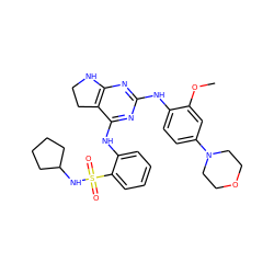 COc1cc(N2CCOCC2)ccc1Nc1nc2c(c(Nc3ccccc3S(=O)(=O)NC3CCCC3)n1)CCN2 ZINC000221646928