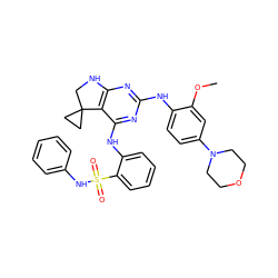 COc1cc(N2CCOCC2)ccc1Nc1nc2c(c(Nc3ccccc3S(=O)(=O)Nc3ccccc3)n1)C1(CC1)CN2 ZINC000221644183