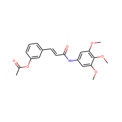 COc1cc(NC(=O)/C=C/c2cccc(OC(C)=O)c2)cc(OC)c1OC ZINC000169312376