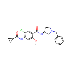 COc1cc(NC(=O)C2CC2)c(Cl)cc1C(=O)N[C@H]1CCN(Cc2ccccc2)C1 ZINC000003811831