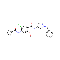 COc1cc(NC(=O)C2CCC2)c(Cl)cc1C(=O)N[C@@H]1CCN(Cc2ccccc2)C1 ZINC000013756901