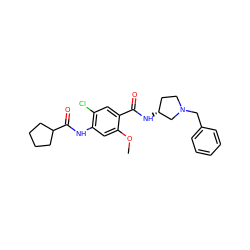 COc1cc(NC(=O)C2CCCC2)c(Cl)cc1C(=O)N[C@@H]1CCN(Cc2ccccc2)C1 ZINC000013756904