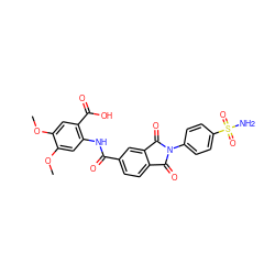 COc1cc(NC(=O)c2ccc3c(c2)C(=O)N(c2ccc(S(N)(=O)=O)cc2)C3=O)c(C(=O)O)cc1OC ZINC001772603702