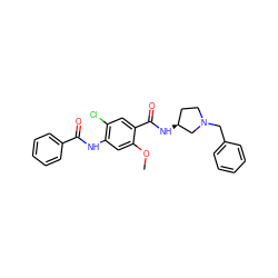 COc1cc(NC(=O)c2ccccc2)c(Cl)cc1C(=O)N[C@H]1CCN(Cc2ccccc2)C1 ZINC000013756907