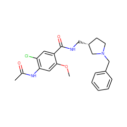 COc1cc(NC(C)=O)c(Cl)cc1C(=O)NC[C@@H]1CCN(Cc2ccccc2)C1 ZINC000027985544