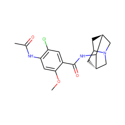 COc1cc(NC(C)=O)c(Cl)cc1C(=O)NC1[C@H]2CC3C[C@H]1CN3C2 ZINC000101265230