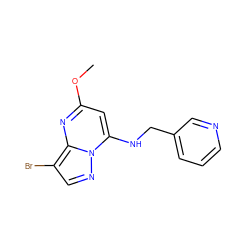 COc1cc(NCc2cccnc2)n2ncc(Br)c2n1 ZINC000028958921