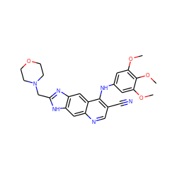 COc1cc(Nc2c(C#N)cnc3cc4[nH]c(CN5CCOCC5)nc4cc23)cc(OC)c1OC ZINC000013818541