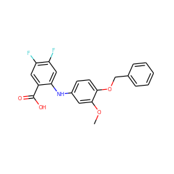 COc1cc(Nc2cc(F)c(F)cc2C(=O)O)ccc1OCc1ccccc1 ZINC000084709798