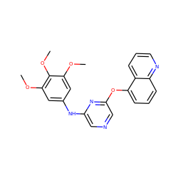 COc1cc(Nc2cncc(Oc3cccc4ncccc34)n2)cc(OC)c1OC ZINC000040937562