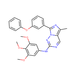 COc1cc(Nc2ncc3c(C)nc(-c4cccc(Oc5ccccc5)c4)n3n2)cc(OC)c1OC ZINC000038310618