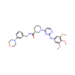 COc1cc(Nc2nccc(N3CCC[C@H](C(=O)NCc4cccc(N5CCOCC5)c4)C3)n2)cc(OC)c1OC ZINC000072318208