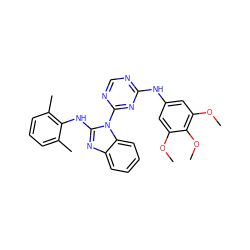 COc1cc(Nc2ncnc(-n3c(Nc4c(C)cccc4C)nc4ccccc43)n2)cc(OC)c1OC ZINC000029136088