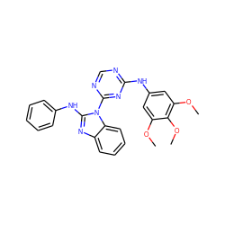 COc1cc(Nc2ncnc(-n3c(Nc4ccccc4)nc4ccccc43)n2)cc(OC)c1OC ZINC000029136121