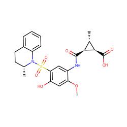 COc1cc(O)c(S(=O)(=O)N2c3ccccc3CC[C@H]2C)cc1NC(=O)[C@H]1[C@H](C)[C@H]1C(=O)O ZINC000299855797